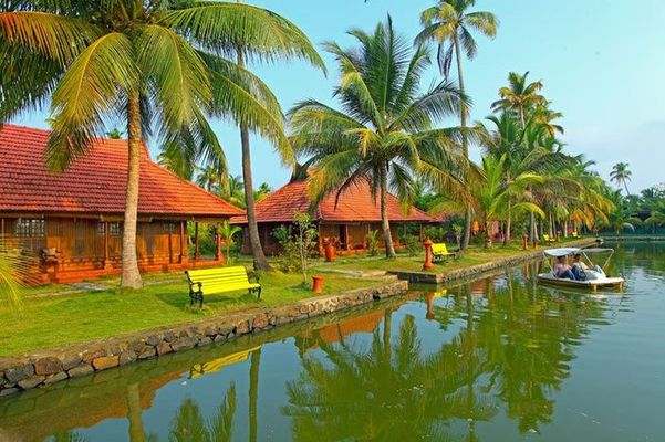 Kondai Lip Alleppey